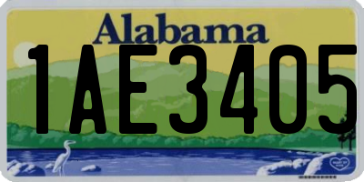 AL license plate 1AE3405