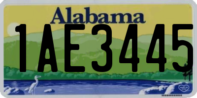 AL license plate 1AE3445