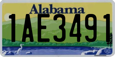 AL license plate 1AE3491