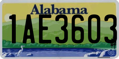 AL license plate 1AE3603