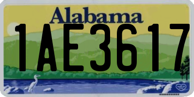 AL license plate 1AE3617