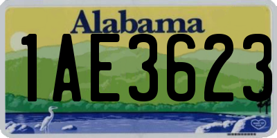 AL license plate 1AE3623