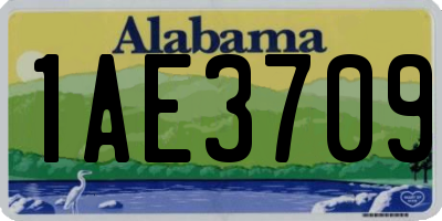 AL license plate 1AE3709