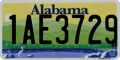 AL license plate 1AE3729