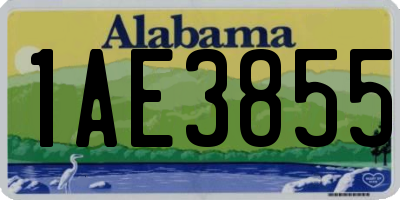 AL license plate 1AE3855