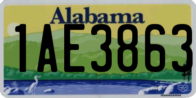 AL license plate 1AE3863