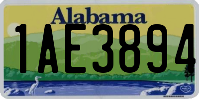 AL license plate 1AE3894