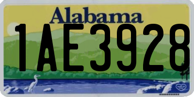 AL license plate 1AE3928