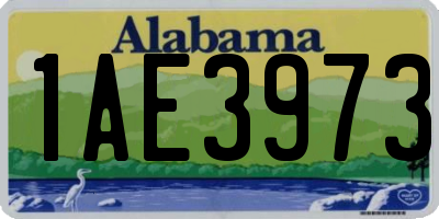 AL license plate 1AE3973