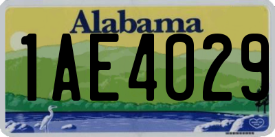 AL license plate 1AE4029