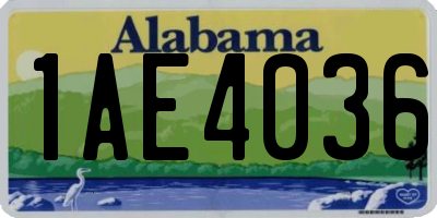 AL license plate 1AE4036