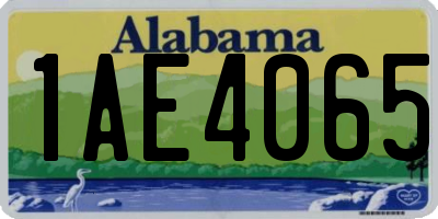 AL license plate 1AE4065
