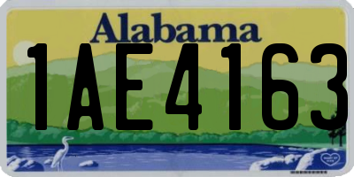 AL license plate 1AE4163
