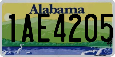 AL license plate 1AE4205