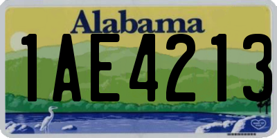 AL license plate 1AE4213