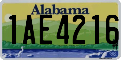 AL license plate 1AE4216
