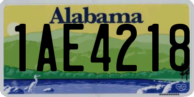 AL license plate 1AE4218
