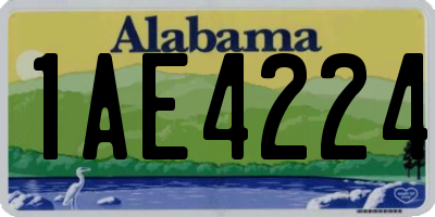 AL license plate 1AE4224