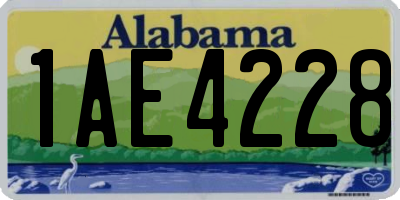 AL license plate 1AE4228
