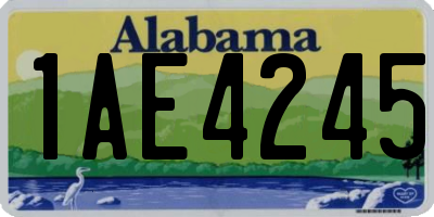 AL license plate 1AE4245