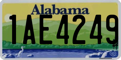 AL license plate 1AE4249