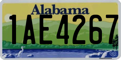 AL license plate 1AE4267