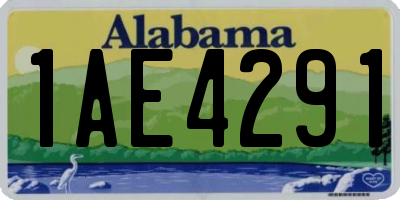 AL license plate 1AE4291