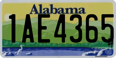 AL license plate 1AE4365