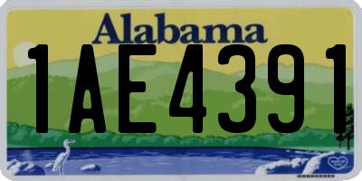 AL license plate 1AE4391
