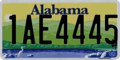 AL license plate 1AE4445