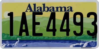 AL license plate 1AE4493