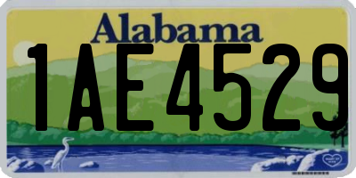 AL license plate 1AE4529
