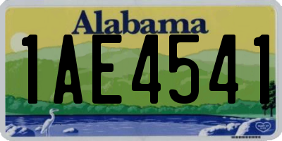 AL license plate 1AE4541