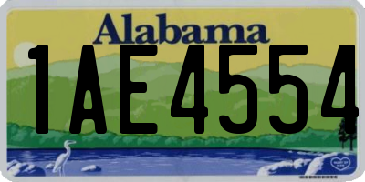 AL license plate 1AE4554