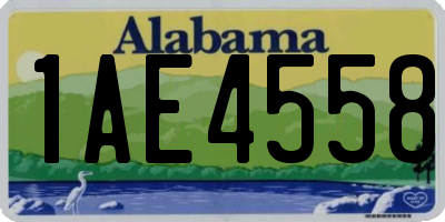 AL license plate 1AE4558