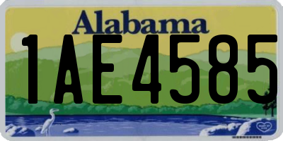 AL license plate 1AE4585