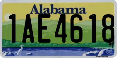 AL license plate 1AE4618