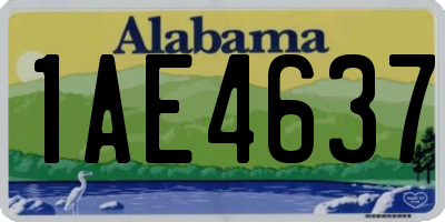 AL license plate 1AE4637