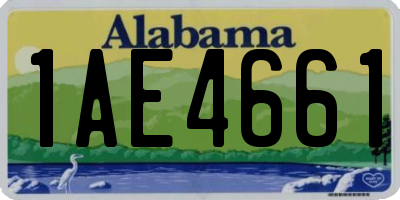 AL license plate 1AE4661