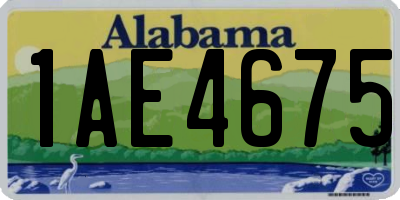 AL license plate 1AE4675