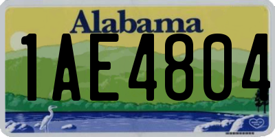 AL license plate 1AE4804