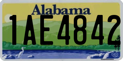 AL license plate 1AE4842