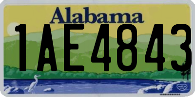 AL license plate 1AE4843