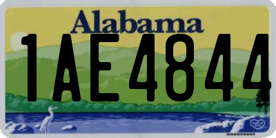 AL license plate 1AE4844
