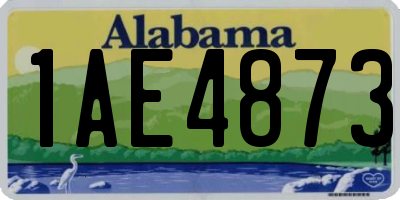AL license plate 1AE4873