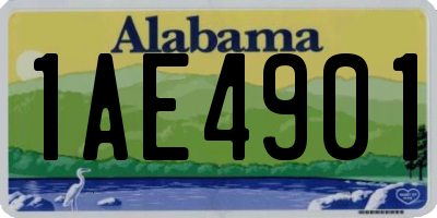 AL license plate 1AE4901