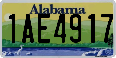 AL license plate 1AE4917
