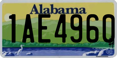 AL license plate 1AE4960