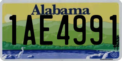 AL license plate 1AE4991