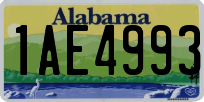 AL license plate 1AE4993